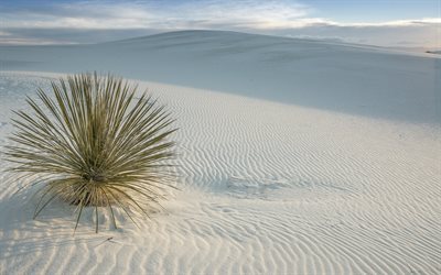 d&#233;sert, sable, dunes de sable, les etats-unis, San Miguel, Nouveau-Mexique, White Sands National Monument