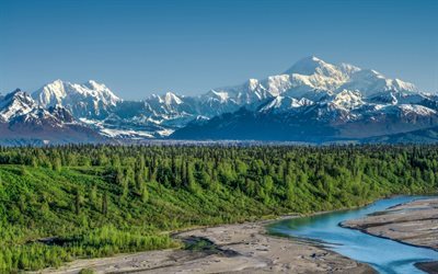 mountain landscape, forest, river, summer, Alaska Range, Denali National Park, Mount McKinley, Alaska