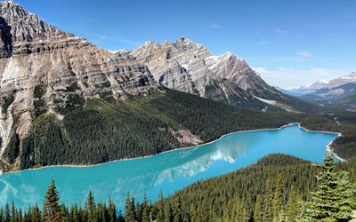 Peyto Lake, Canada, 4k, Banff, montanhas, floresta, Alberta, ver&#227;o, canadense marcos, O Parque Nacional De Banff