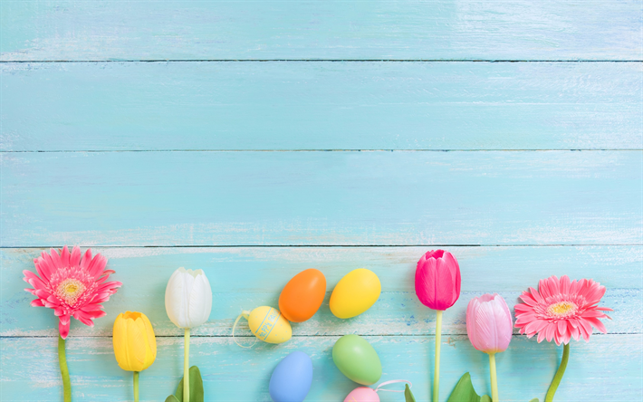 Easter, colorful eggs, tulips, spring, spring flowers, blue wooden background
