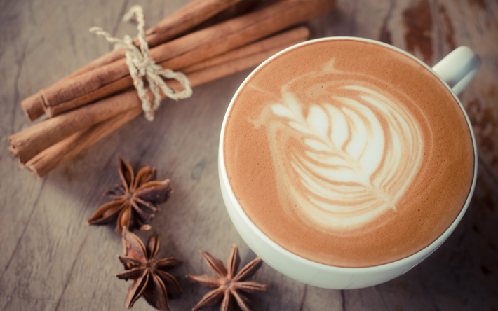 Cappuccino, kahvin-k&#228;sitteit&#228;, latte art, kaneli, piirustukset kahvia