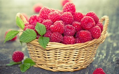raspberry, ripe berries, basket with raspberry berries, harvest