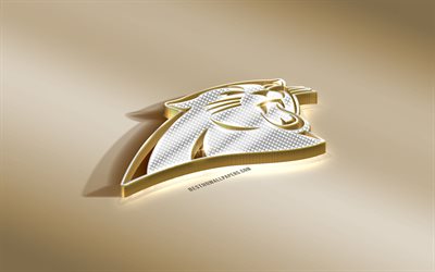 Carolina Panthers, Amerikansk Football Club, NFL, Golden Silver logotyp, Charlotte, North Carolina, USA, National Football League, 3d gyllene emblem, kreativa 3d-konst, Amerikansk fotboll