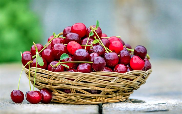 cereja, bagas, cesta com cerejas, frutos vermelhos, frutas, ver&#227;o