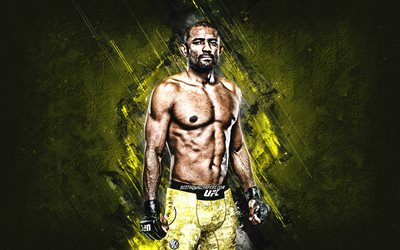 Sergio Moraes, MMA, UFC, Brazilian fighter, portrait, yellow stone background, Ultimate Fighting Championship
