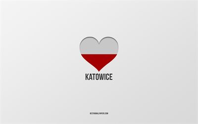i love katowice, ciudades polacas, d&#237;a de katowice, fondo gris, katowice, polonia, coraz&#243;n de la bandera polaca, ciudades favoritas, love katowice