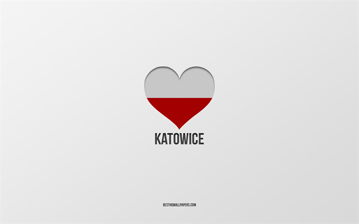 jag &#228;lskar katowice, polska st&#228;der, dag i katowice, gr&#229; bakgrund, katowice, polen, polskt flagghj&#228;rta, favoritst&#228;der, love katowice