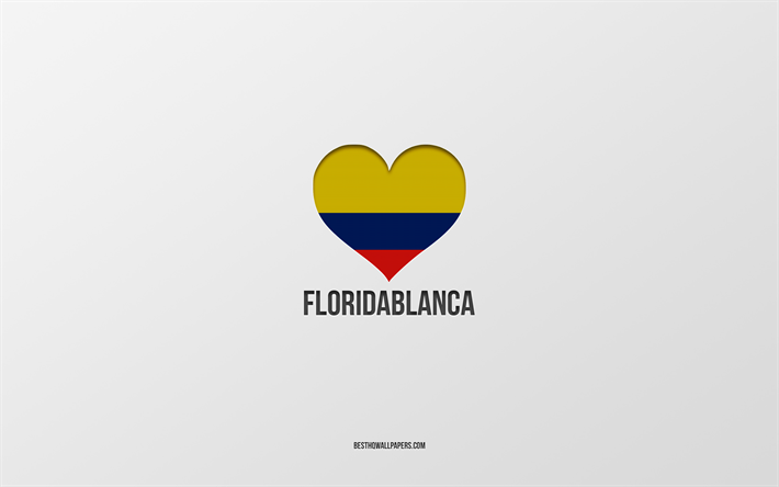 أنا أحب فلوريدابلانكا, المدن الكولومبية, يوم فلوريدابلانكا, خلفية رمادية, فلوريدا ذات الرأس الأبيض, كولومبيا, قلب العلم الكولومبي, المدن المفضلة, الحب فلوريدابلانكا