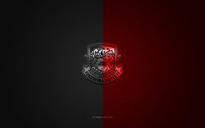 fukushima united fc, japon futbol kul&#252;b&#252;, kırmızı siyah logo, kırmızı siyah karbon fiber arka plan, j3 league, futbol, fukushima, japonya, fukushima united fc logosu