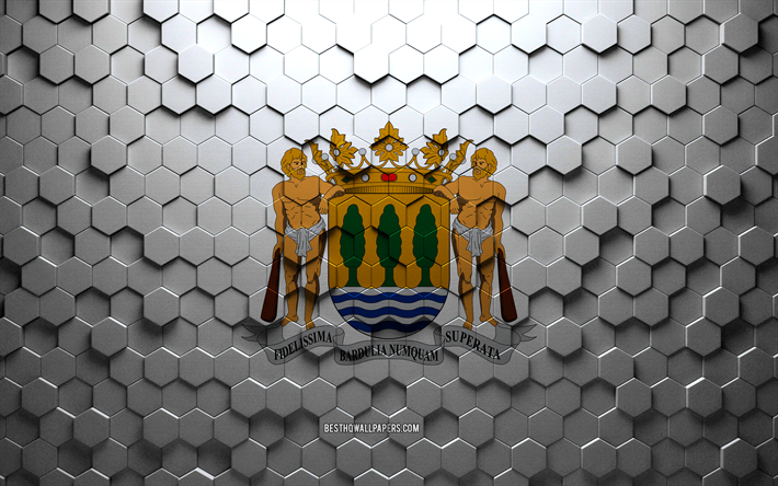 bandeira de gipuzkoa, arte de favo de mel, bandeira de hexagons gipuzkoa, gipuzkoa 3d hexagons art, bandeira gipuzkoa