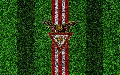 CD Aves, 4k, logo, football lawn, Portuguese football club, red white lines, Primeira Liga, Vila daz Aviche, Portugal, football, Desportivo Aves, Aves fc
