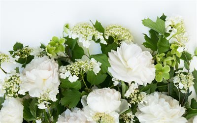 fleurs blanches, fleur, cadre, printemps, roses blanches