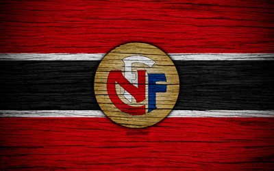 4k, Norvegia, squadra nazionale di calcio, logo, UEFA, l&#39;Europa, di calcio, di legno, texture, calcio, Europeo per squadre nazionali di calcio, federcalcio norvegese