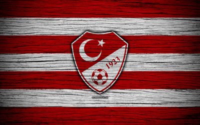 4k, Turkey national football team, logo, UEFA, Europe, football, wooden texture, soccer, Turkey, European national football teams, Turkish Football Federation