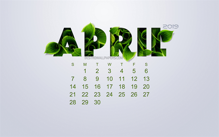 2019 April Calendar, creative floral art, white background, green leaves, spring, 2019 calendars, April, eco concept, calendar for 2019 April