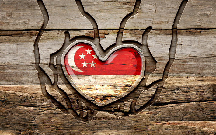 eu amo singapura, 4k, m&#227;os de escultura em madeira, dia de singapura, bandeira de singapura, cuide-se singapura, criativo, bandeira de singapura na m&#227;o, escultura em madeira, pa&#237;ses asi&#225;ticos, singapura