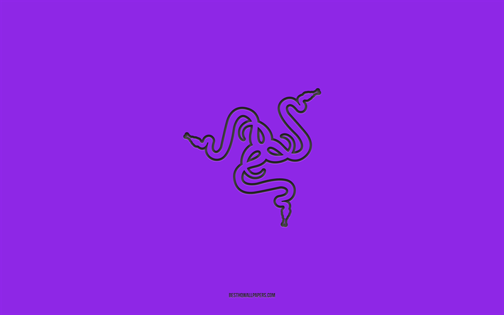 razerのロゴ, 4k, 紫のグラデーションの背景, razerカーボンロゴ, 紫の背景, razer, razerエンブレム