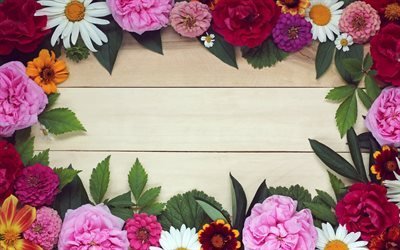 cadre de fleurs, chrysanth&#232;mes, arri&#232;re-plan en bois, planches de bois, de fleurs de printemps, les cadres