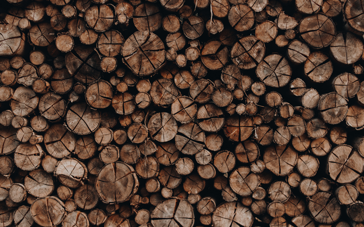 Troncos de madera de la Textura, Apilados de madera de troncos, fondo de madera, le&#241;a, Cortar Troncos de Madera de Textura
