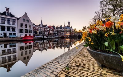 Dokkum, morning, sunrise, daffodils, spring, Friesland, Netherlands