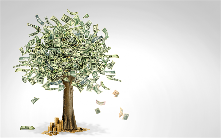 albero di denaro, dollaro americano, albero di dollari, denaro, crescita concetti, investimenti, finanza concetti, soldi