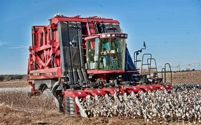 Case IH Module Express 635, 4k, cotton harvesting, 2019 combraines, agricultural machinery, Cotton Harvesters, HDR, harvest, combraine in the field, agriculture, Case
