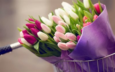 tulipas cor-de-rosa, flores da primavera, grande buqu&#234;, o orvalho nas tulipas, primavera, tulipas