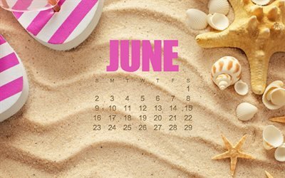 June 2019 calendar, summer, beach, travel, sandy background, June, 2019 calendars, beach accessories