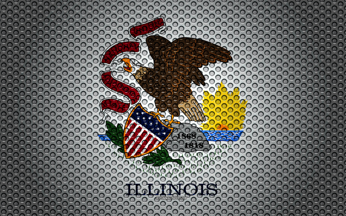 Amerika Devletleri Illinois bayrağı, 4k, Amerikan devleti, yaratıcı sanat, metal mesh dokusu, Illinois bayrak, ulusal sembol, Illinois, AMERİKA Birleşik Devletleri, bayrakları