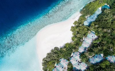 Maldivas, ilha tropical, vista a&#233;rea, praia, areia branca, palmeiras, resort, conceitos de viagens