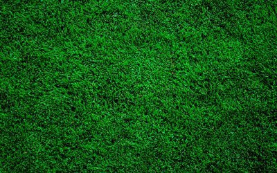 4k, العشب الأخضر الملمس, قرب, العشب الأخضر, الأخضر الخلفيات, العشب القوام, ماكرو, العشب من أعلى, العشب خلفية