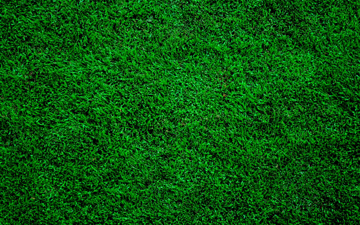 4k, l&#39;herbe verte de la texture, plan rapproch&#233;, vert, herbe, vert d&#233;cors, les textures de l&#39;herbe, macro, herbe de haut, fond