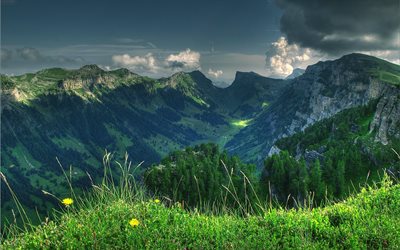 vale da montanha, Alpes, Su&#237;&#231;a, paisagem de montanha, encostas verdes, floresta