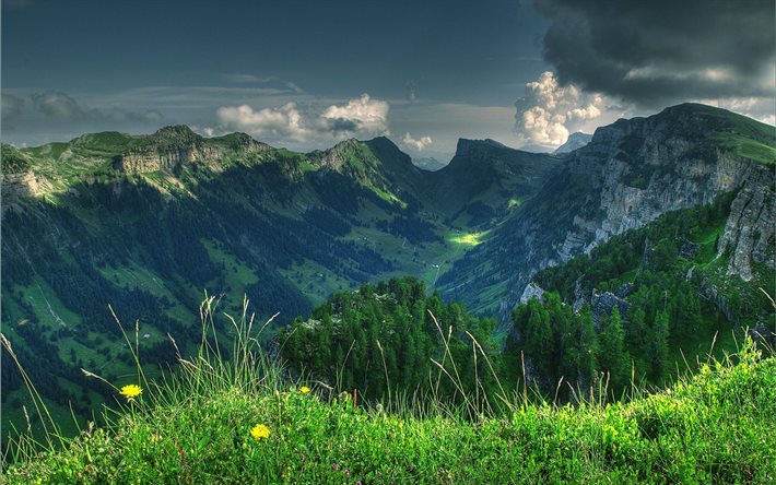 ダウンロード画像 アマチュアオーケストラ アルプス スイス 山の風景 緑のゲレンデ 森林 フリー のピクチャを無料デスクトップの壁紙