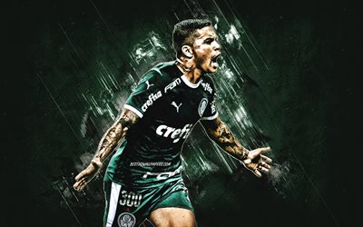 Dudu, Eduardo Pereira Rodrigues, il Palmeiras, Brasiliano, calciatore professionista, portrait, verde, arte creativa, calcio, Brasile