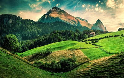 mountain landscape, evening, rocks, forest, green trees, green meadows, Europe, Alps