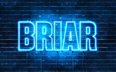 Briar, 4k, fondos de pantalla con los nombres, el texto horizontal, Briar nombre, Feliz Cumplea&#241;os Briar, luces azules de ne&#243;n, imagen con Briar nombre