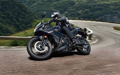 سوزوكي GSX250R, 2020, GSX سلسلة, عرض الجانب, الأسود الدراجة الرياضية, الأسود الجديد GSX250R, الدراجات النارية اليابانية, سوزوكي