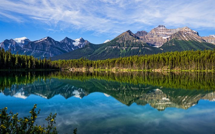 4k, Banff National Park, sommar, skogen, berg, sj&#246;n, I De Kanadensiska Klippiga Bergen, vacker natur, Kanada, Nordamerika