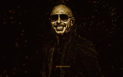 Pitbull, amerikansk rappare, guldglitterkonst, svart bakgrund, Pitbull-konst, Armando Christian Perez Acosta