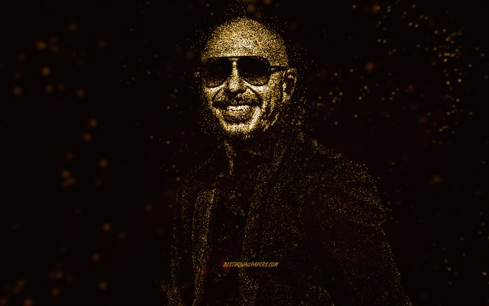 Pitbull, American rapper, gold glitter art, black background, Pitbull art, Armando Christian Perez Acosta