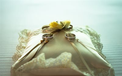 Anillos de boda, almohada, rosas amarillas, de la boda