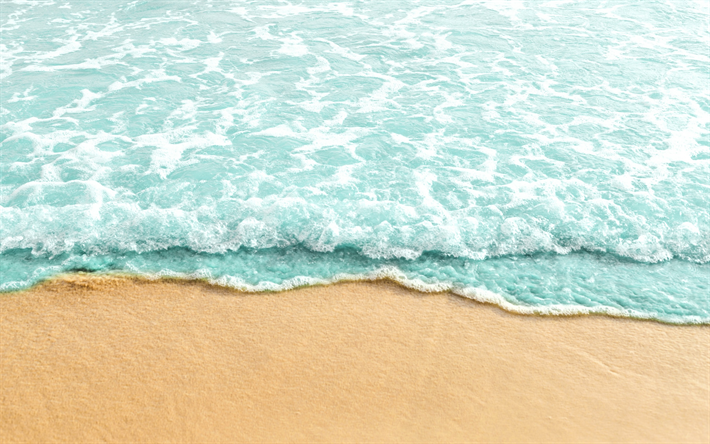 la brisa del mar, la arena, la playa, las olas, el verano, la costa