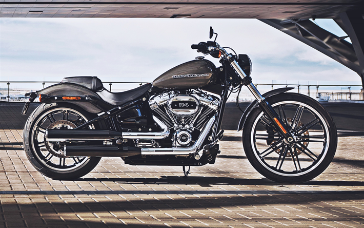 A Harley-Davidson FXBRS Softail Breakout 114, vista lateral, sbk, 2019 motos, brown motocicleta, 2019 Harley-Davidson FXBRS Softail Breakout 114, americana de motocicletas, A Harley-Davidson