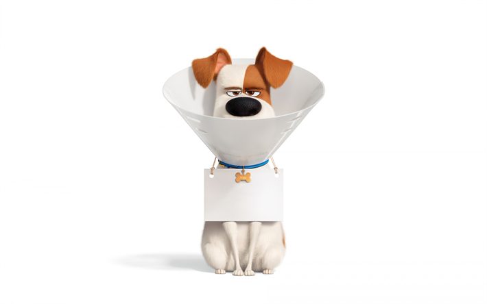 La Vie Secr&#232;te des Animaux de compagnie 2, 2019, d&#39;affiches, de promo, de personnages, de Max, un chien, un Jack Russell Terrier