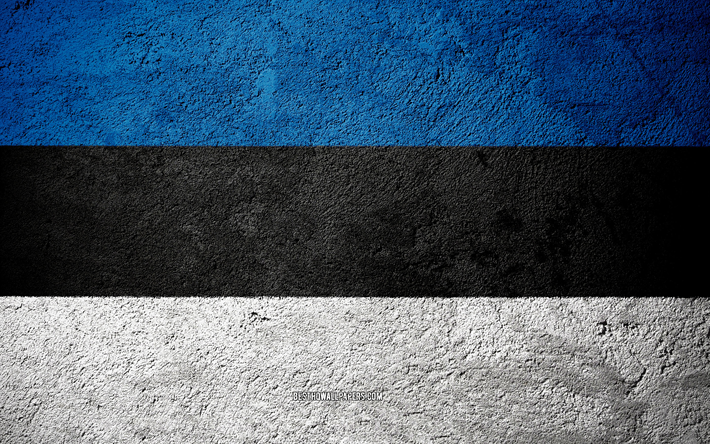 Bandiera dell&#39;Estonia, di cemento texture di pietra, sfondo, bandiera Estonia, Europa, Estonia, flag su pietra