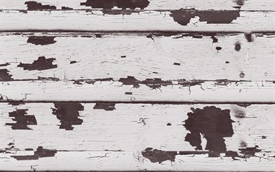 old wooden boards texture, white wooden texture, wooden background, white boards