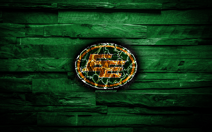 Edmonton Eskimolar, yanan logo, KOMPAKT floresan, yeşil ahşap arka plan, grunge, Kanadalı futbol takımı, Kanada Futbol Ligi, futbol, Edmonton Eskimolar logo, Kanada