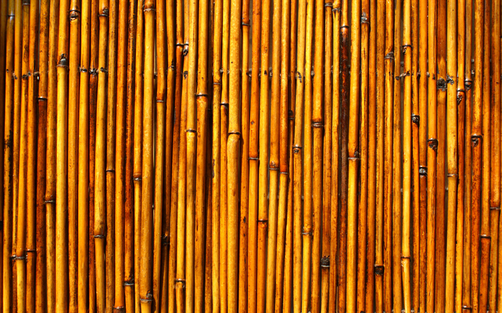 ruskea bambu rakenne, bambusoideae tikkuja, makro, pystysuora bambu rakenne, bambu kuvioita, bambu keppej&#228;, bambu tikkuja, ruskea puinen taustalla, bambu