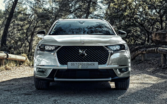 DS 7 Crossback E-Tense, 2019, Plug-In Hybrid, exterior, front view, luxury SUV, new white DS 7 Crossback, french cars, Citroen